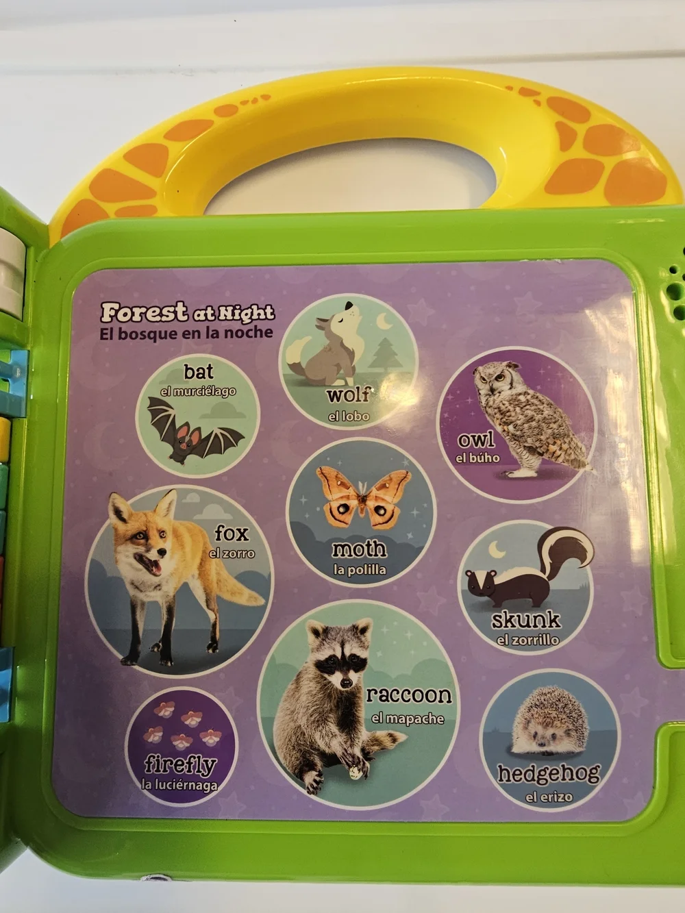 Leapfrog 100 animals